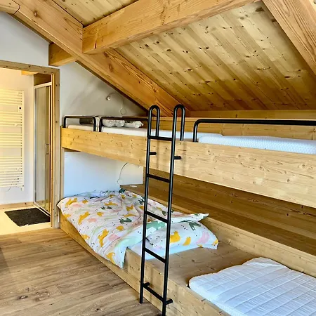 Chalet Neuf 12 Pers Au Pied, Cinema